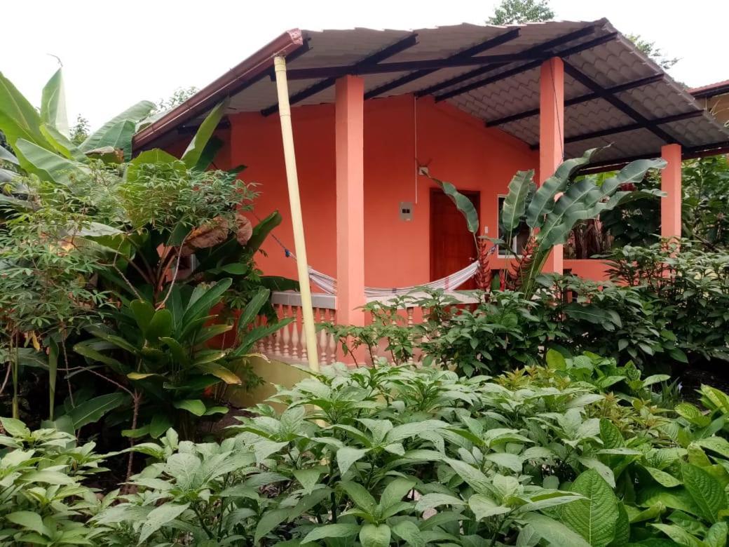 Hostal Tena Ñaui Ngoại thất bức ảnh